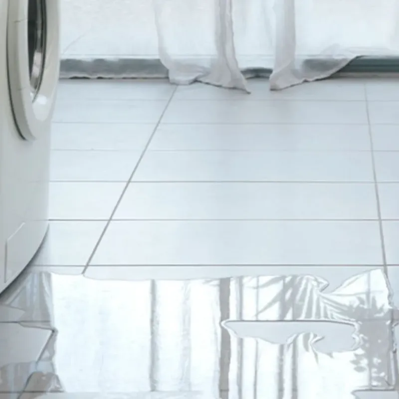 Appliance Leak Cleanup in Tampa, FL