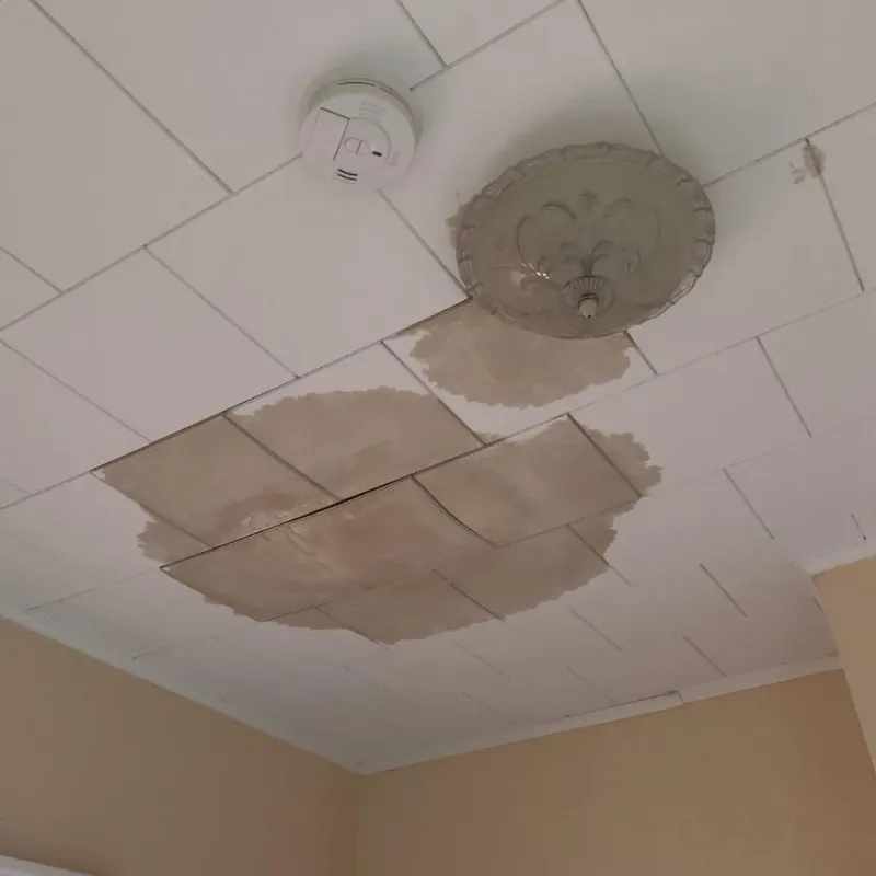 Ceiling Water Damage Repair in Tampa, FL